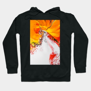 Warm Hues Abstract Hoodie